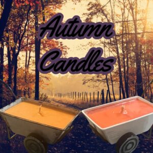 Autumn Scented Body Safe, Low temp Burn, Massage Oil Candle